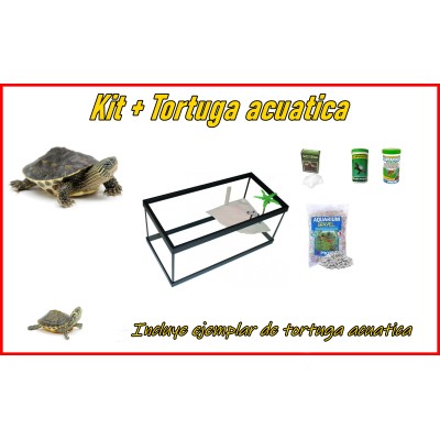 Kit completo + Tortuga acuatica